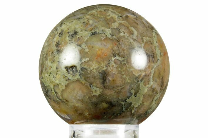 Polished Dinosaur Coprolite Sphere - Utah #370914